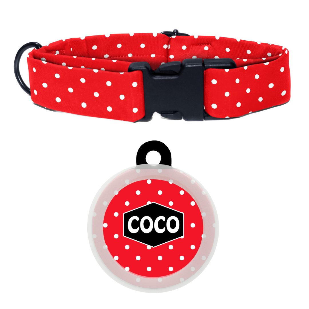 Red & Radiant - Collar & Tag