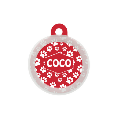 Fido's Favourite - Collar & Tag