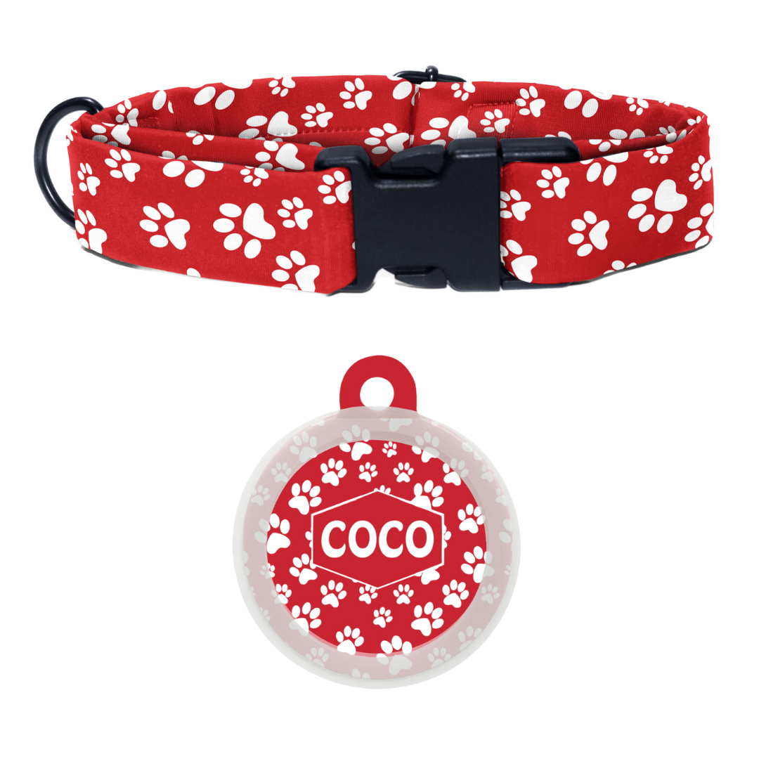 Fido's Favourite - Collar & Tag