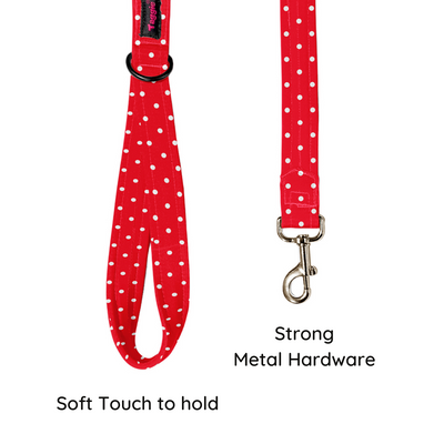 Red & Radiant Collar-Leash