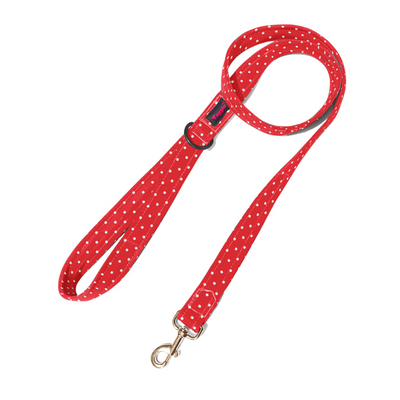 Red & Radiant Leash