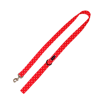 Red & Radiant Leash