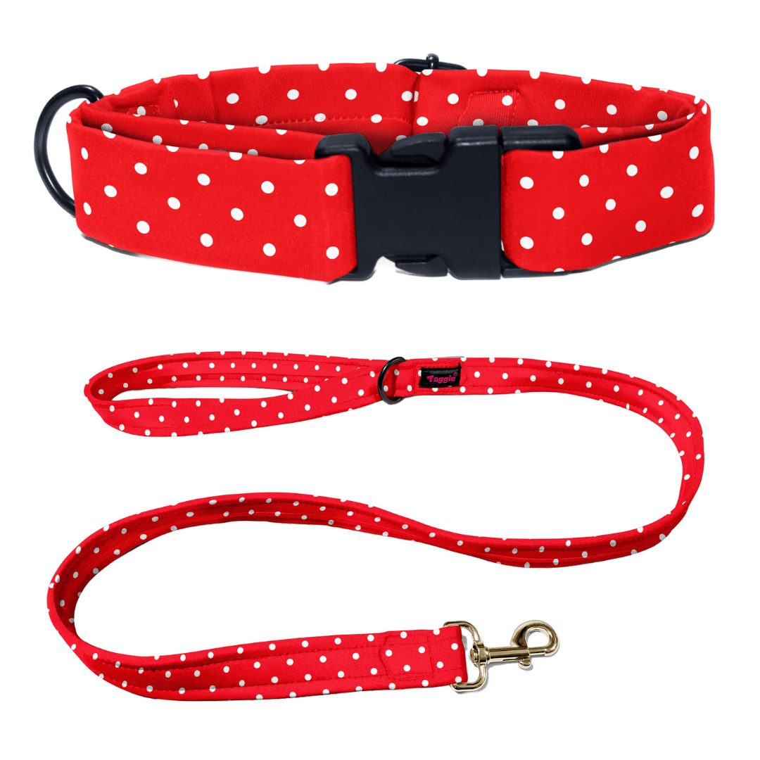 Red & Radiant Collar-Leash
