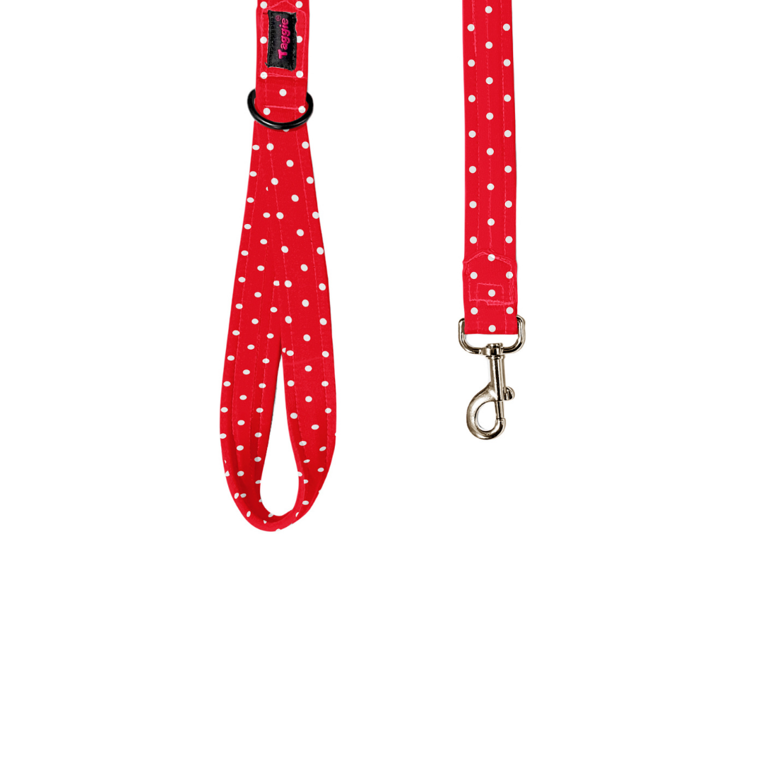Red & Radiant Leash