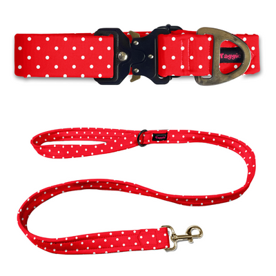 Red & Radiant Collar-Leash