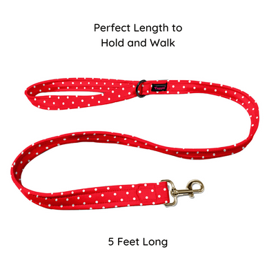 Red & Radiant Collar-Leash