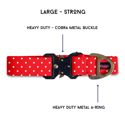Red & Radiant - Collar & Tag