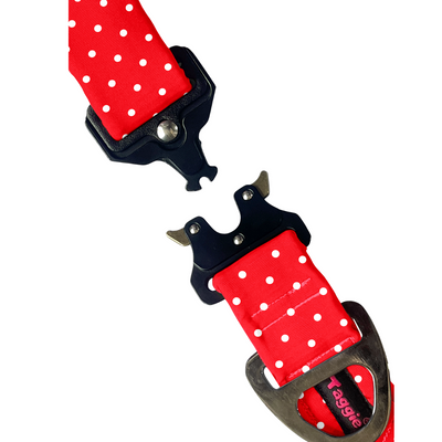 Red & Radiant - Collar & Tag