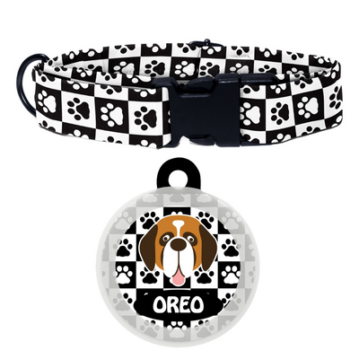 Saint Bernard - Collar & Tag