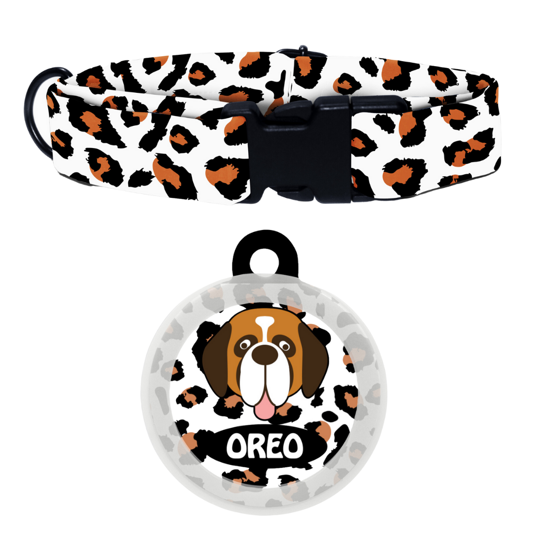 Saint Bernard - Collar & Tag