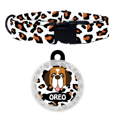 Saint Bernard - Collar & Tag