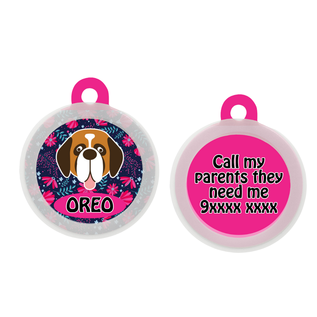 Saint Bernard - Collar & Tag