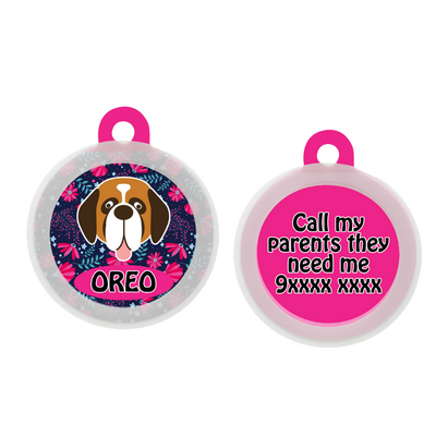 Saint Bernard - Collar & Tag