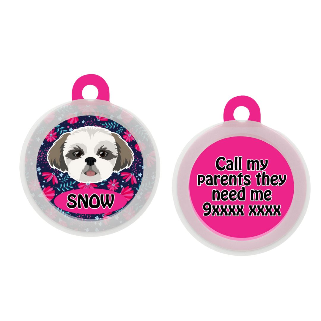 Shih Tzu  - Collar & Tag