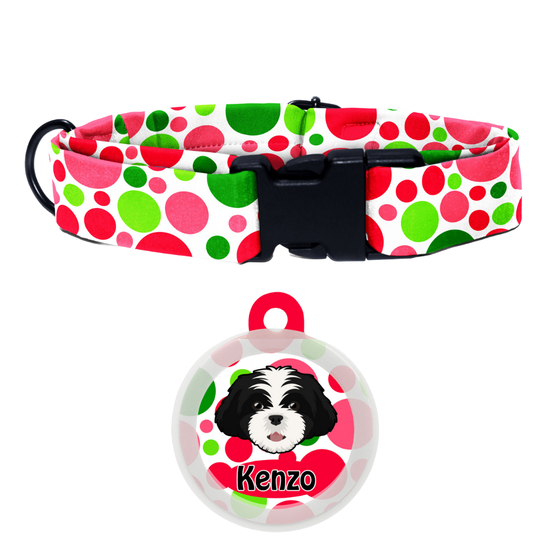 Shih Tzu (Black & White)   - Collar & Tag