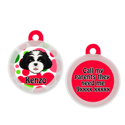 Shih Tzu (Black & White)   - Collar & Tag