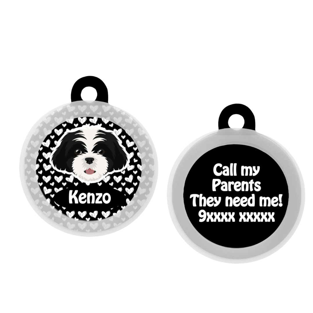 Shih Tzu (Black & White)   - Collar & Tag