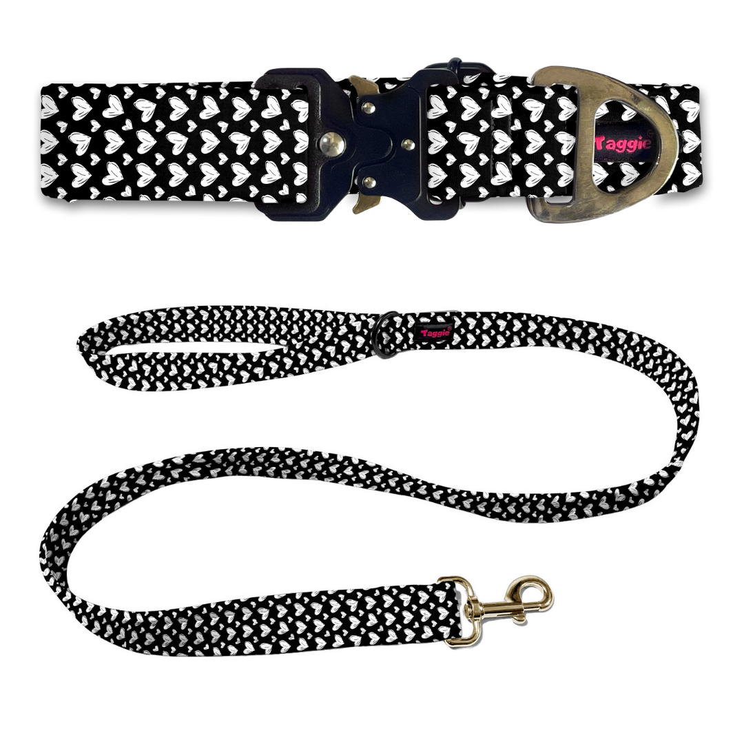 Sketchy Sweetheart Collar-Leash