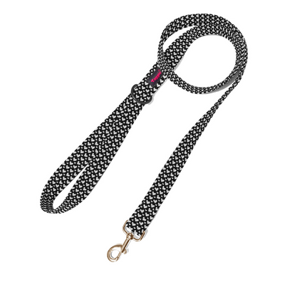 Sketchy Sweetheart Leash