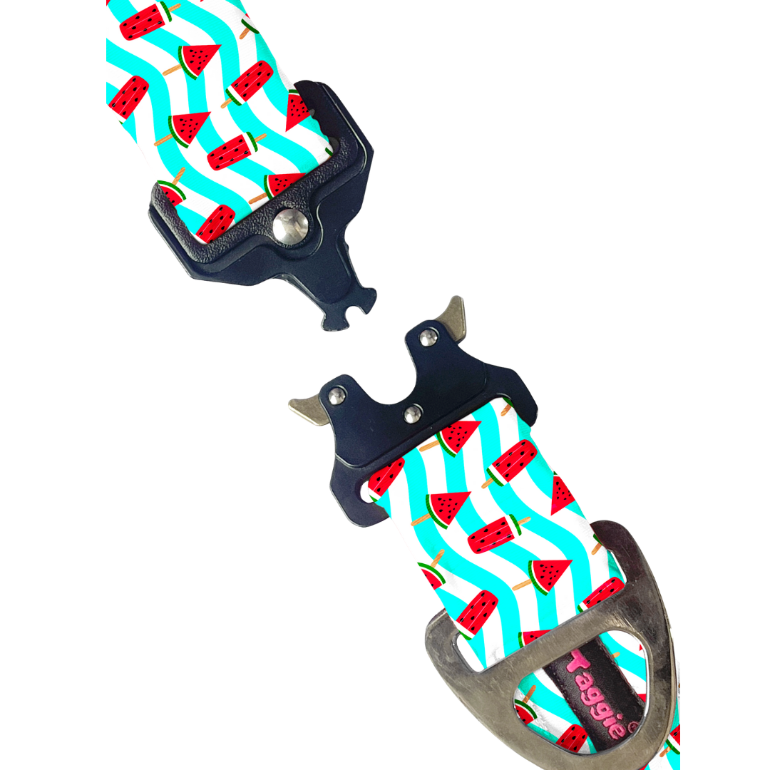 Slice of Summer - Collar & Tag