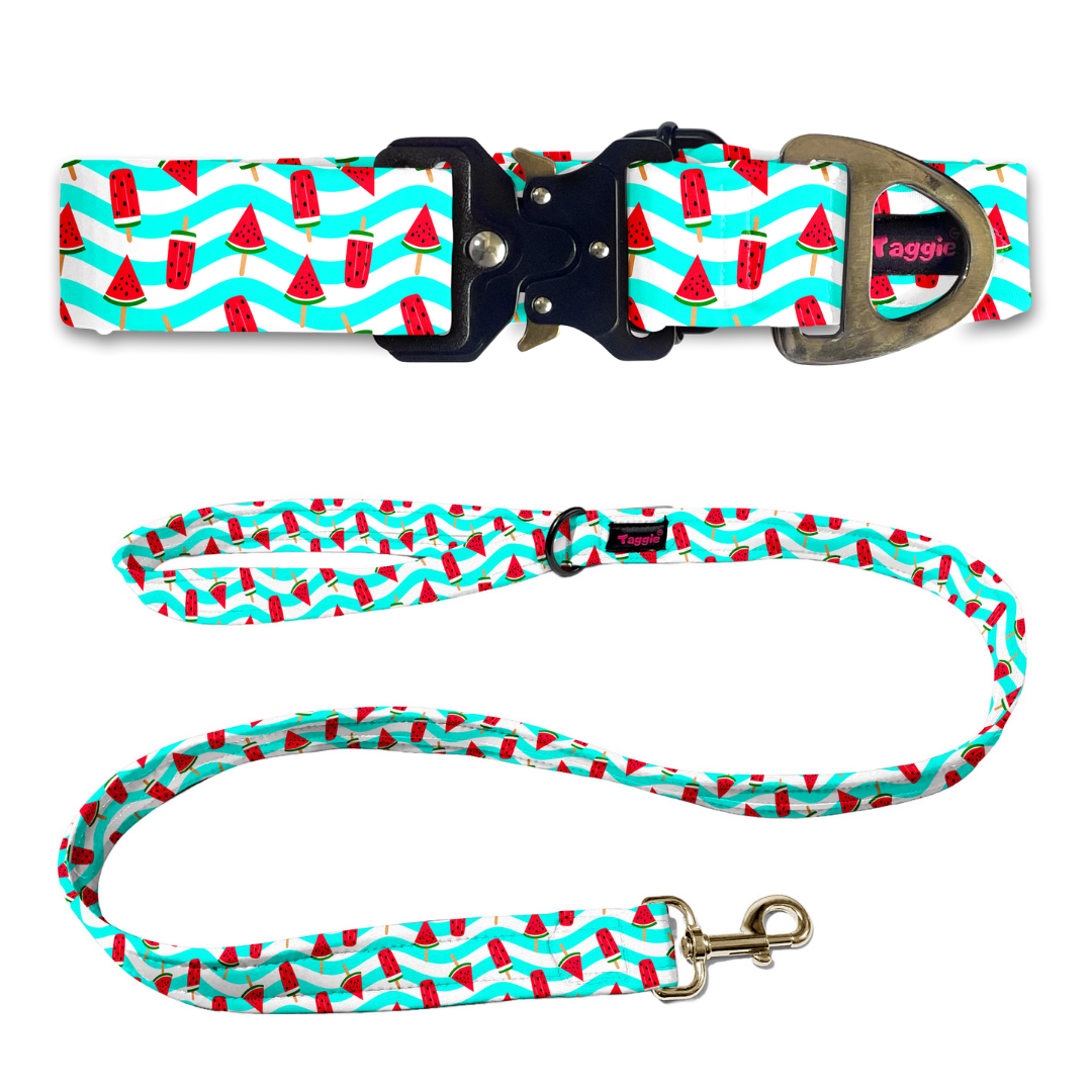 Slice of Summer Collar-Leash