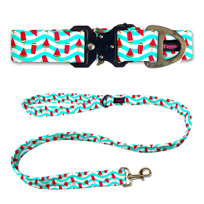 Slice of Summer Collar-Leash