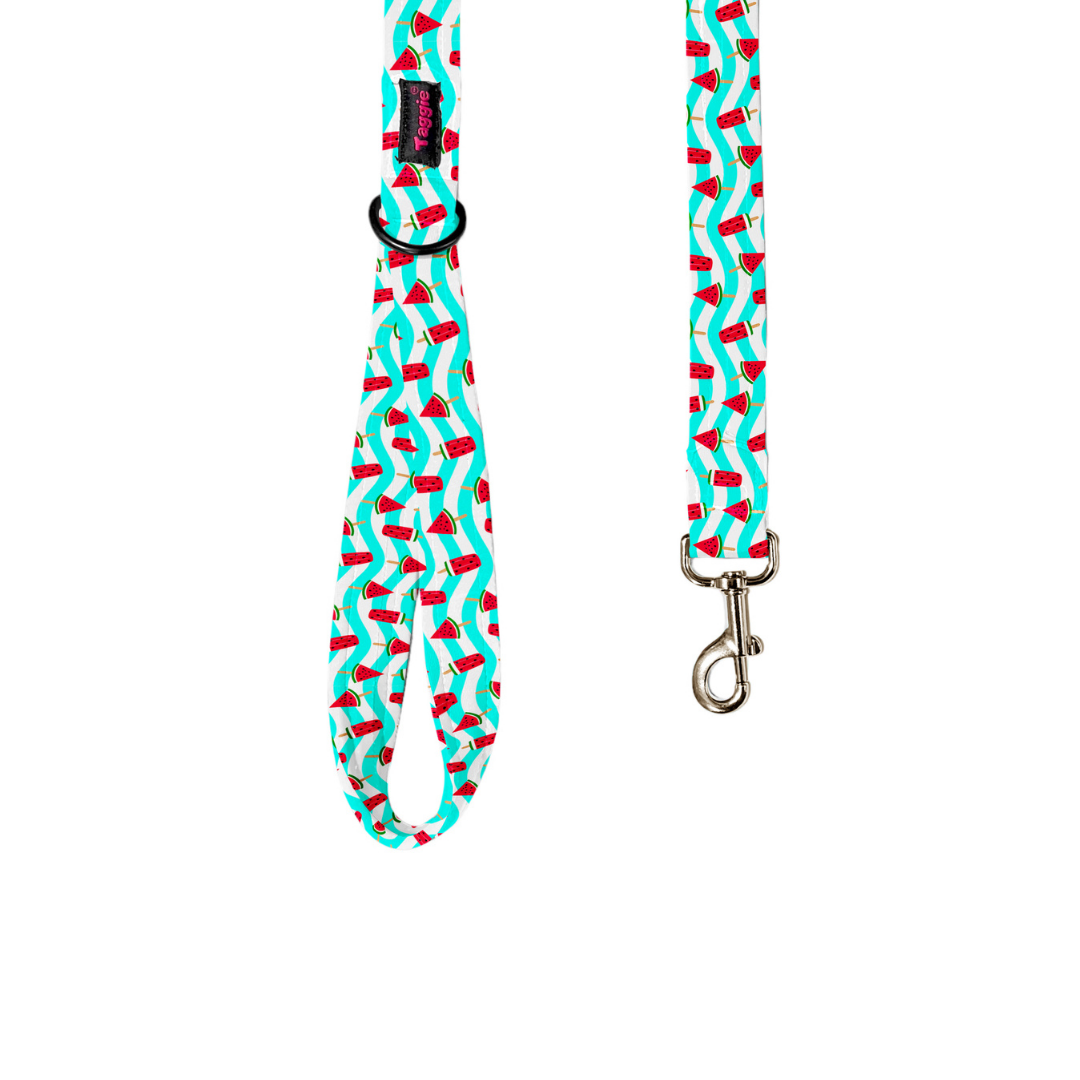 Slice of Summer Leash