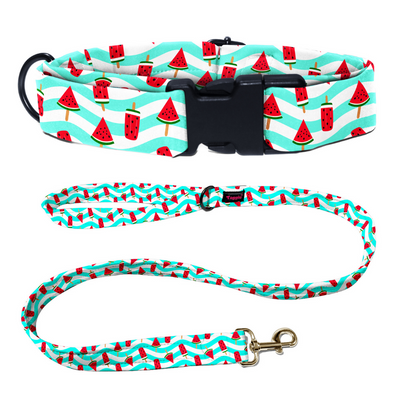 Slice of Summer Collar-Leash