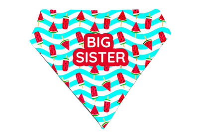 Slice of Summer - Bandana