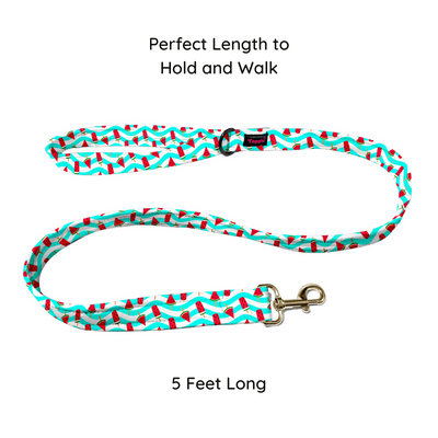 Slice of Summer Collar-Leash