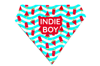 Slice of Summer - Bandana