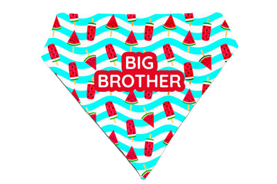 Slice of Summer - Bandana