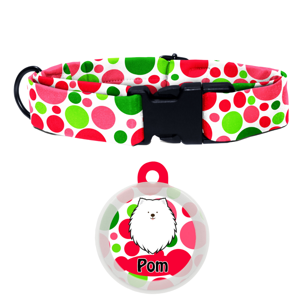 Spitz - Collar & Tag