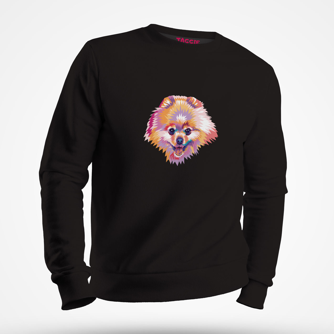 Spitz Art Sweatshirt