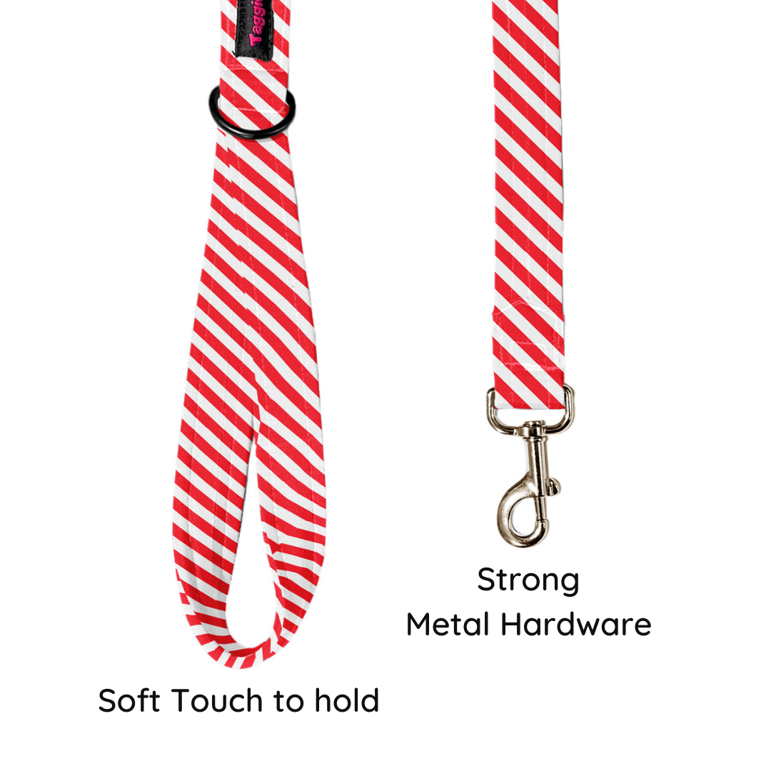 Stripped Stunner Leash