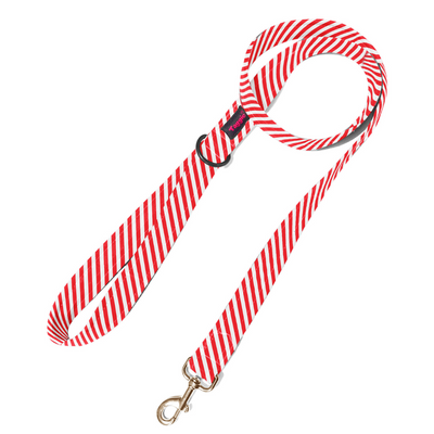 Stripped Stunner Leash