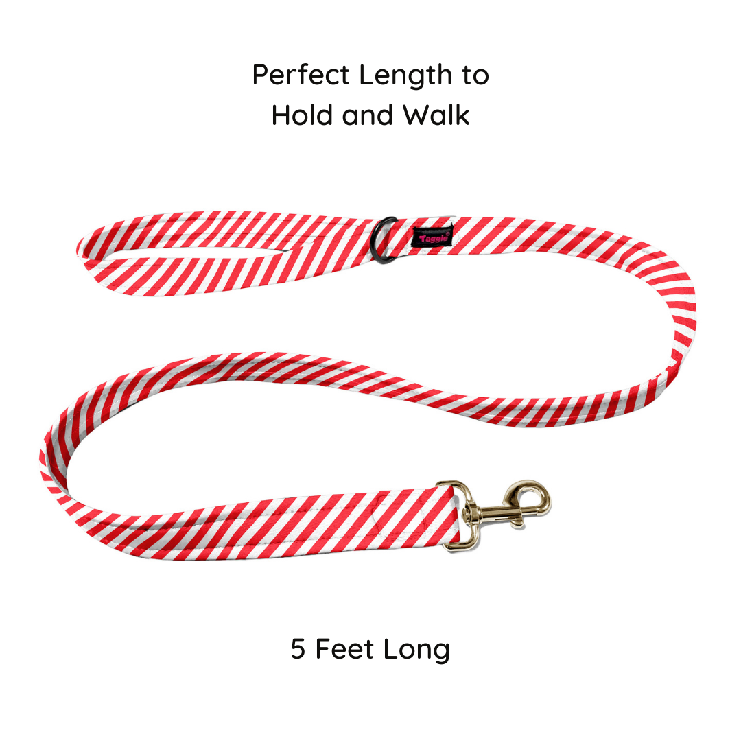 Stripped Stunner Leash