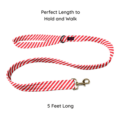 Stripped Stunner Leash