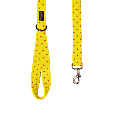 Sun-kissed Spots Leash