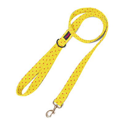 Sun-kissed Spots Leash