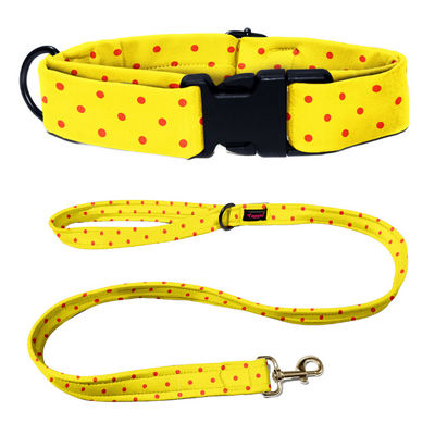 Sun-kissed Spots Collar-Leash