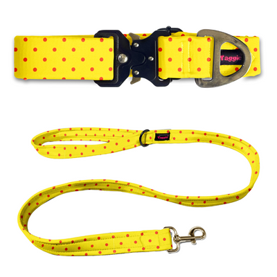 Sun-kissed Spots Collar-Leash