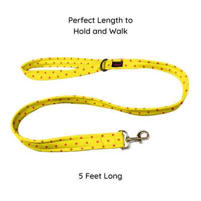 Sun-kissed Spots Collar-Leash