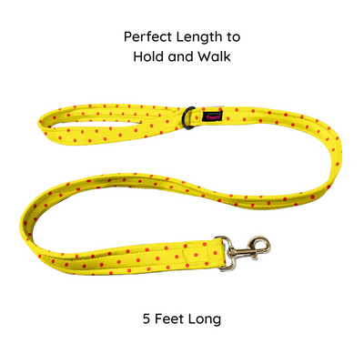 Sun-kissed Spots Leash