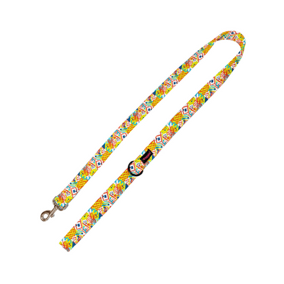 Boho Street Style Leash