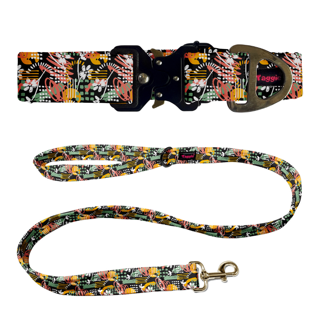 Rebel Run Collar-Leash