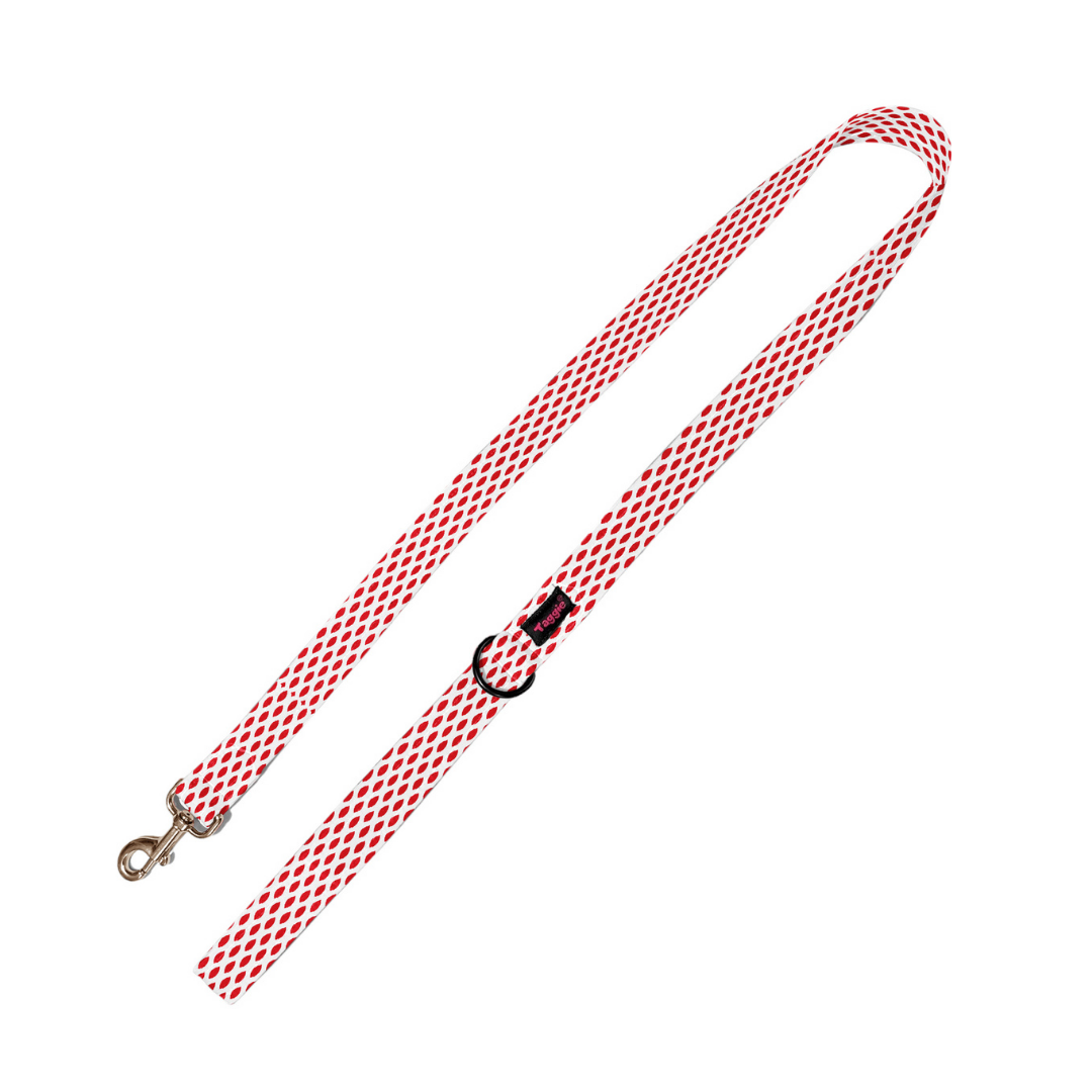 Paisley Pride Leash