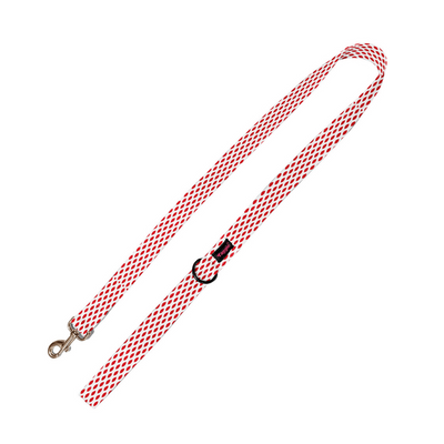 Paisley Pride Leash