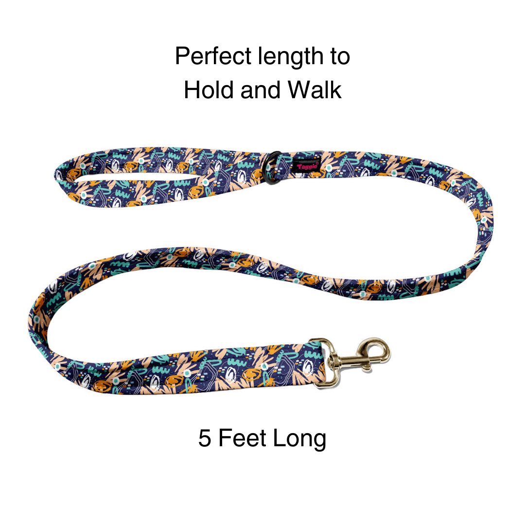 Urban Wanderlust Leash