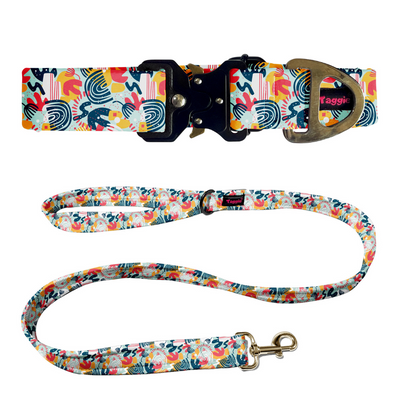 Metro Beats Collar-Leash